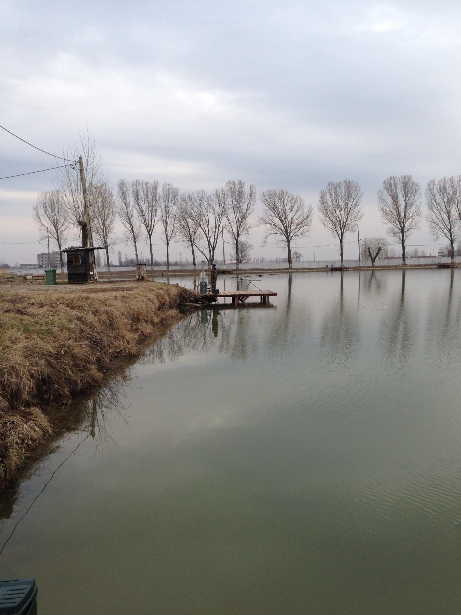 Pleasa - image111111111.jpg